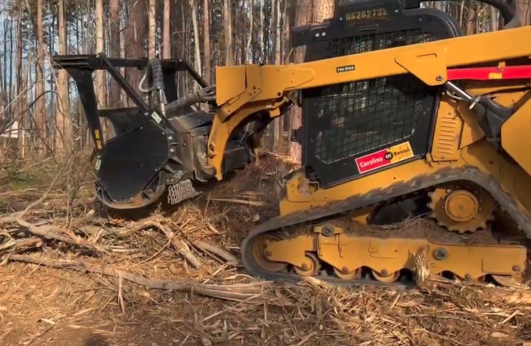 Forestry Mulching - Pine Clearing